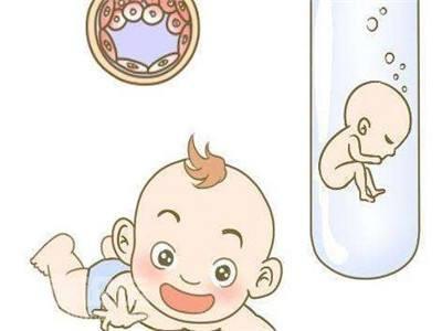 同性供卵代怀服务怎么收费